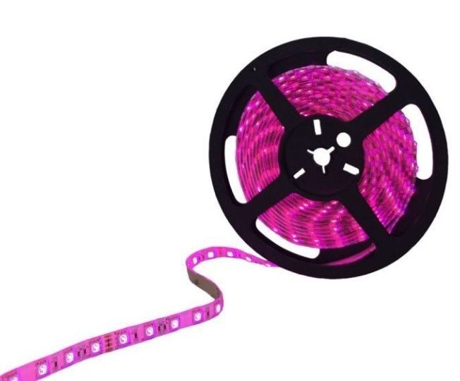 3 Çipli Şerit Led İç Mekan Pembe