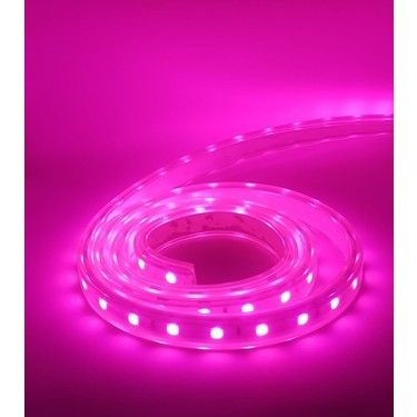 3 Çipli Şerit Led İç Mekan Pembe
