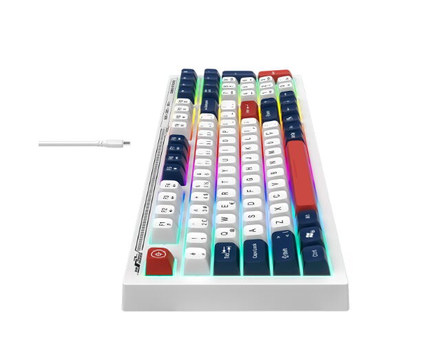 Everest KB-98 Silent Rainbow Kablolu Oyuncu Klavye