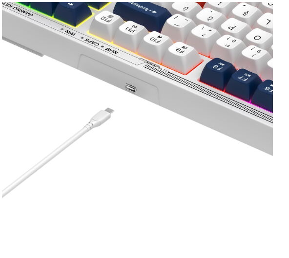 Everest KB-98 Silent Rainbow Kablolu Oyuncu Klavye