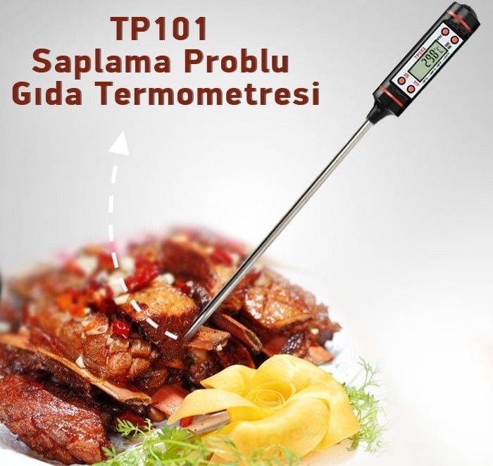 Gesi TP-101 Sıvı Tipi Dijital Termometre