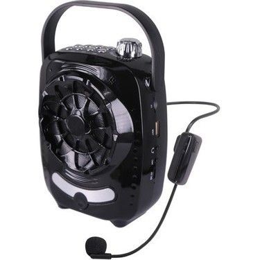 Gold Audio GR-11 Usb / Sd / Bluetooth Hoparlör