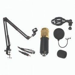 Gold Audio STU-001 Stüdyo Mikrofon Kayıt Seti