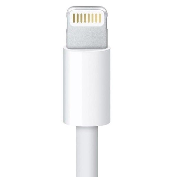 IC266B-2 Lightning Erkek Seyyar Kapaklı