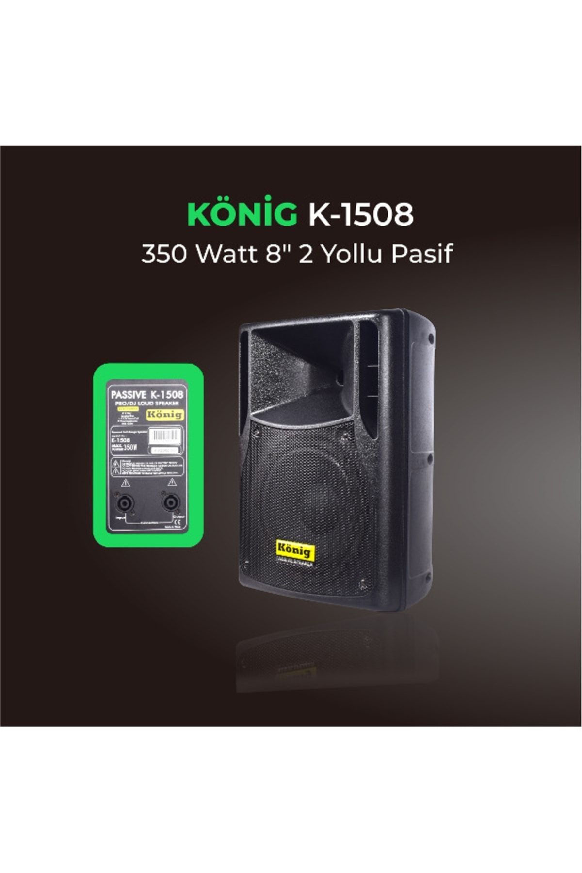König K-1508 8" 350W 2 Yollu Pasif Siyah Kabin