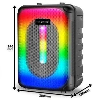 Leader LP-5010 Taşınabilir Ses Sistemi