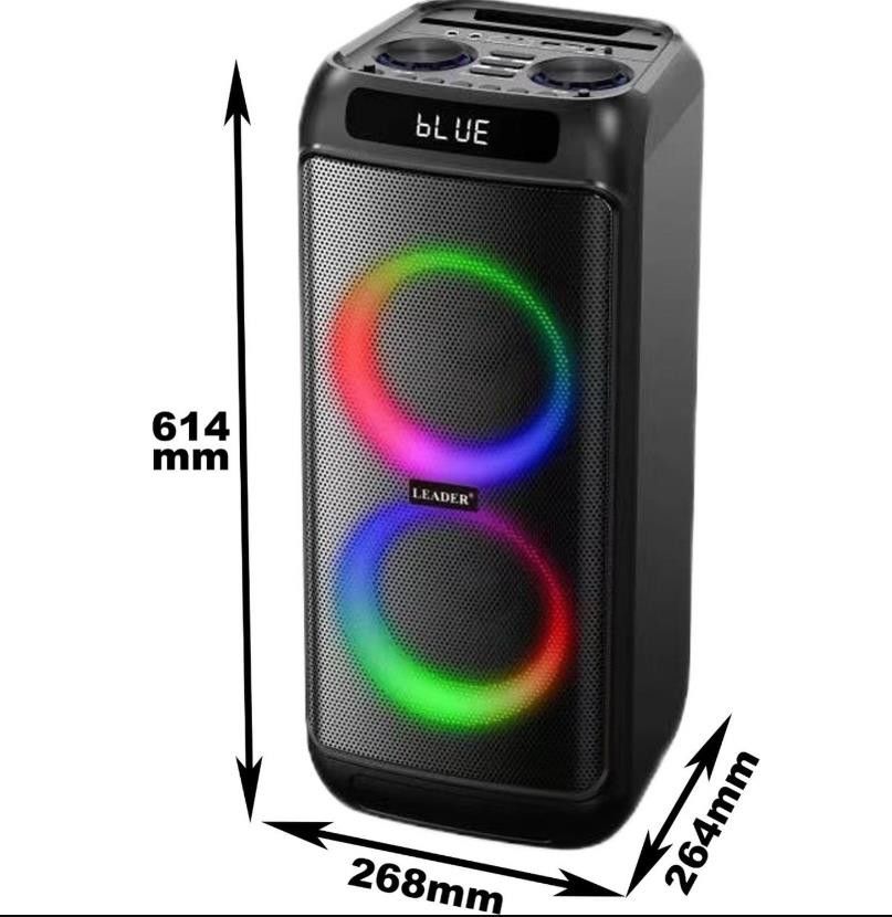 Leader LP-6050 Taşınabilir Ses Sistemi