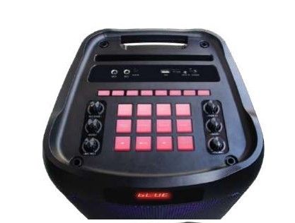 Leader LP-8100 8"x2 RGB Taşınabilir Ses Sistemi