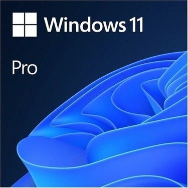 MS Windows 11 Pro FQC-10556 64 Bit TR İşletim Sist