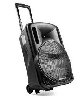 Osawa OSW-9130 12" Tek Mikrofonlu Kabin Hoparlör