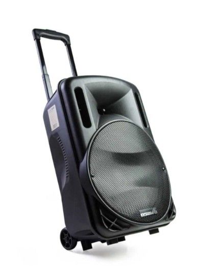 Osawa OSW-9130 12" Tek Mikrofonlu Kabin Hoparlör