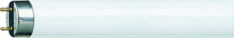 Philips Master TL-D Super80 18W/865 Floresan