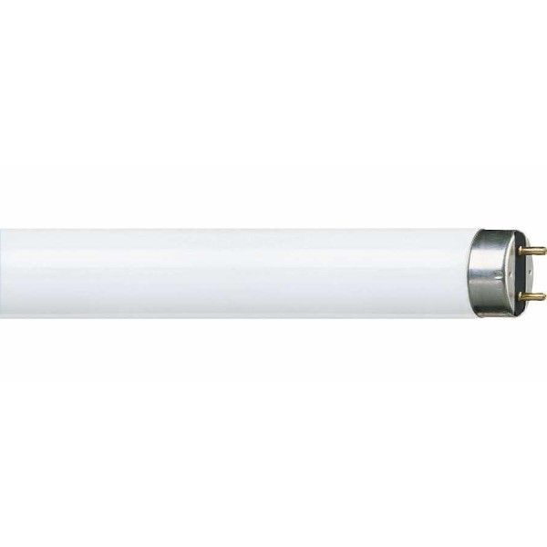 Philips Master TL-D Super 80 36W/840 Floresan Gün