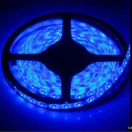 Powerline PL-4040 3 Çip İç Mekan Şerit Led Mavi