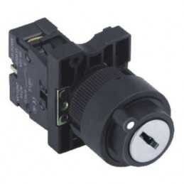 Swion LAY5-EG21 22 MM Key Buton