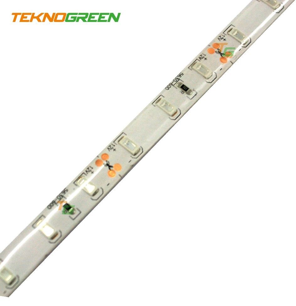 TeknoGreen TGSL-5630G Şerit Led Job İç Mekan Yeşil