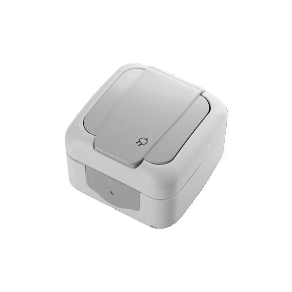 Viko Palmiye Gri Nemliyer Tekli Topraklı Priz