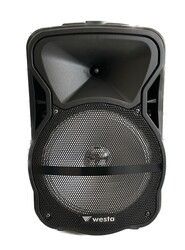 Westa WAP-1053E 10" 1 El Aktif Hoparlör