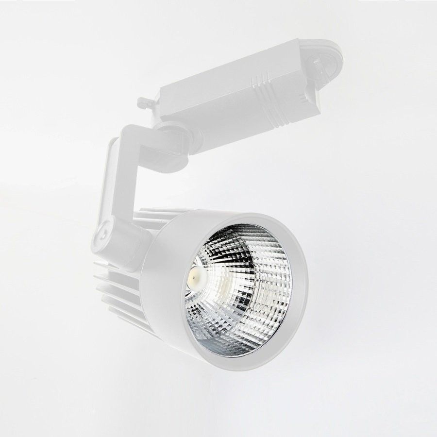 YCL YRS-205G 30W Led Ray Spot Beyaz Kasa G.Işığı