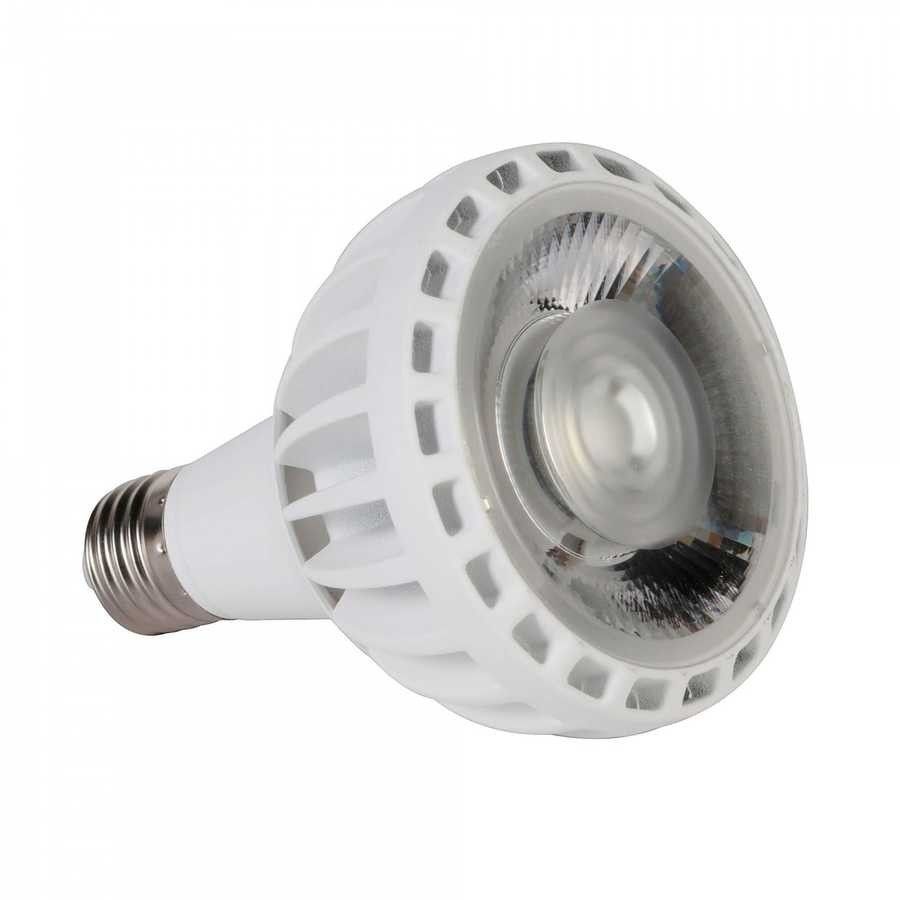 YCL YSA-2025G 25W PAR30 Led Ampul E27 Günışığı